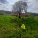GIURGIU - SE VINDE TEREN 3400 MP IN SAT PODU ILFOVATULUI
